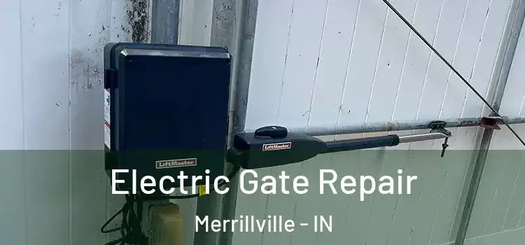 Electric Gate Repair Merrillville - IN