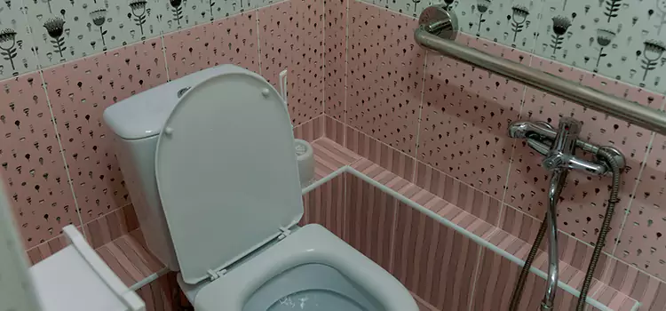 Meeting Diverse Needs With Accessible Restroom Solutions in Merrillville, IN