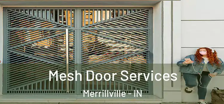 Mesh Door Services Merrillville - IN